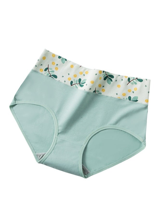 KUYING New Comfortable Skin friendly Breathable Underwear Set of 4  - Image 3