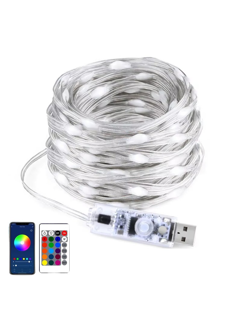 Generic 100 LED Fairy Strip Lights with Remote and App Control, Curtain Lights Remote Control Multi Lighting Modes 10M USB Plug String Light Wedding Patio Garden Wall Decorations Home Garden Bedroom Outdoor Indoor  - Image 2