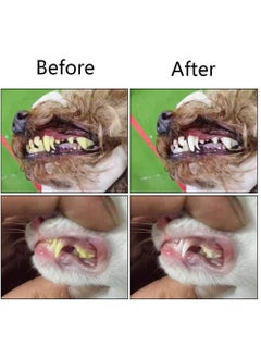 Excefore 2 Pack Pet Toothbrush  - Image 4