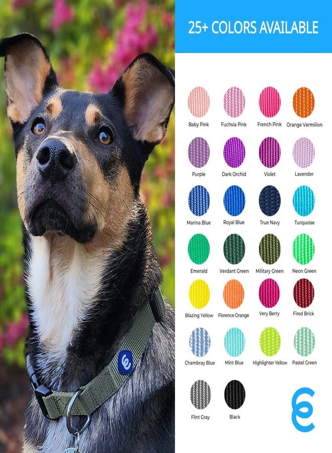 Blueberry Pet Essentials Matching Small Dog Collar & Key Holder Set | Adjustable Classic Solid Color Nylon Dog Collars for Small Dogs w/Key Holder | French Pink Collar for X-Small Dogs - Image 5