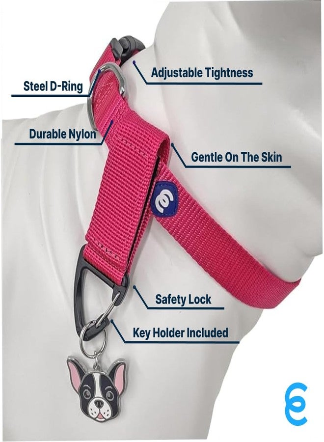 Blueberry Pet Essentials Matching Small Dog Collar & Key Holder Set | Adjustable Classic Solid Color Nylon Dog Collars for Small Dogs w/Key Holder | French Pink Collar for X-Small Dogs - Image 2