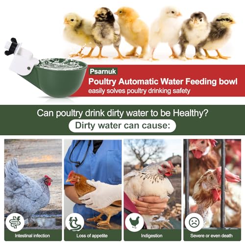 Psarnuk Chicken Waterer Cups (8 Pack/Green) - DIY Automatic Large Chicken Water Feeder for Ducks,Chicks, Turkeys, Quail, Bunny, Bird and Other Various Poultry Dispenser with Matching Drill - Image 2