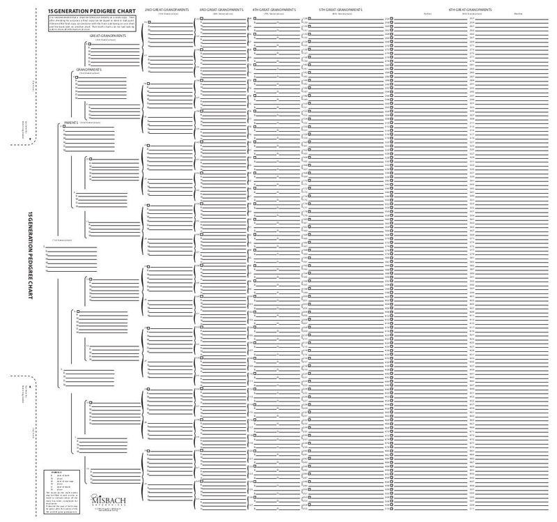TreeSeek® 15 Generation Pedigree Chart | Blank Genealogy Forms for Family History and Ancestry Work - Image 1