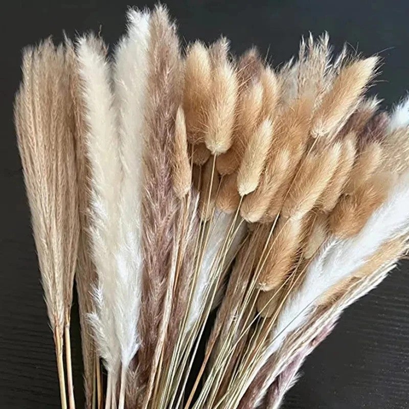 Y&D Fluffy Pampas Grass Dried Flowers Bouquet - Natural Bunny Tail Dried Plants Arrangement - Wedding Party Home Decor Centerpiece - Image 1