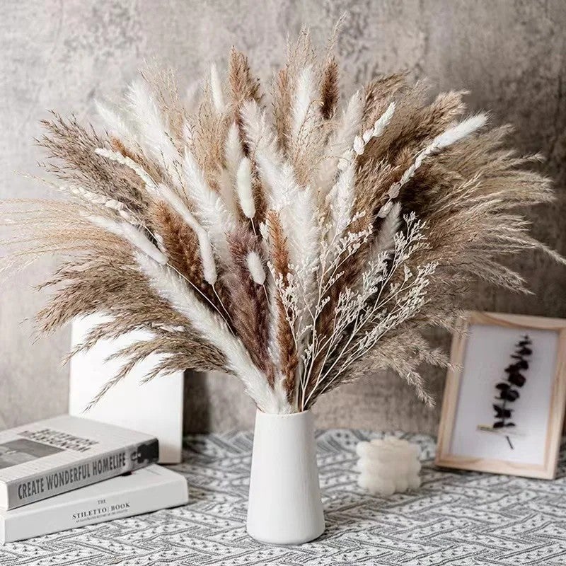 Y&D Fluffy Pampas Grass Dried Flowers Bouquet - Natural Bunny Tail Dried Plants Arrangement - Wedding Party Home Decor Centerpiece - Image 3