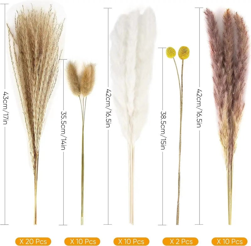 Y&D Fluffy Pampas Grass Dried Flowers Bouquet - Natural Bunny Tail Dried Plants Arrangement - Wedding Party Home Decor Centerpiece - Image 2