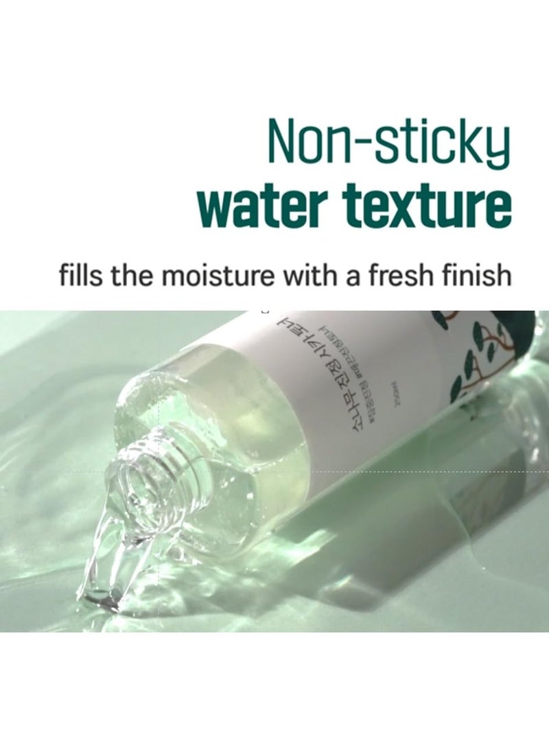 راوند لاب لوشن سيكا المهدئ بالصنوبر - 250 مل - Image 3