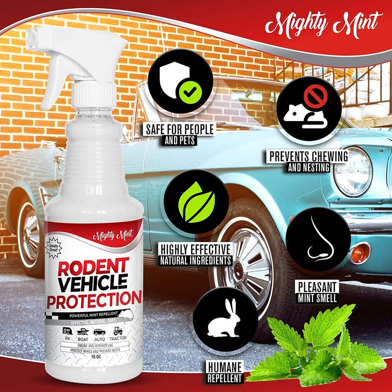 Mighty Mint رذاذ طارد القوارض بزيت النعناع القوي للسيارات - تحكم طبيعي في الفئران والجرذان لمحركات السيارات، المركبات الترفيهية، الشاحنات والقوارب - تركيبة نباتية، قوية جداً - 16 أونصة - Image 2