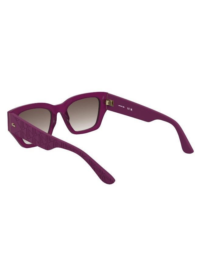LACOSTE Butterfly Sunglasses  - Image 5