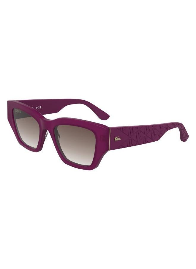 LACOSTE Butterfly Sunglasses  - Image 4