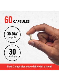 Force Factor Force Factor, Fundamentals, Cordyceps, 1,000 mg, 60 Capsules (500 mg per Capsule)  - Image 4