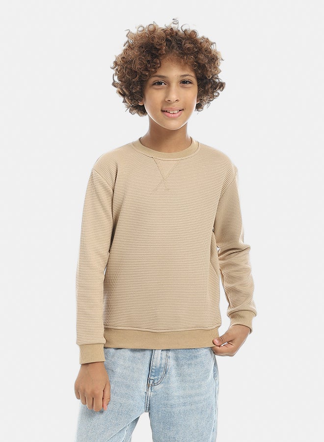 Andora Beige Round Collar Self Patterned Long Sleeves Pullover-Beige - Image 1