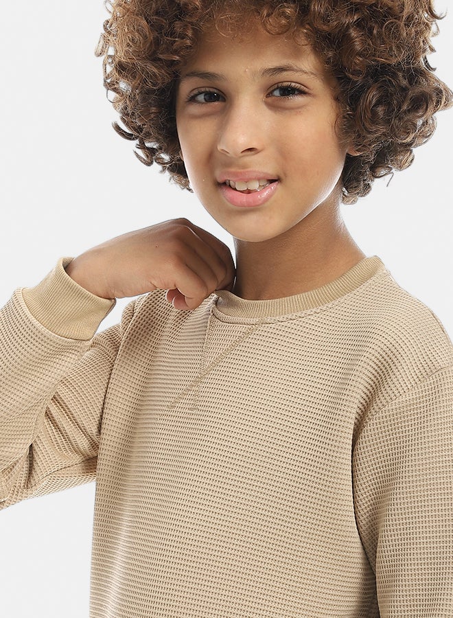 Andora Beige Round Collar Self Patterned Long Sleeves Pullover-Beige - Image 3