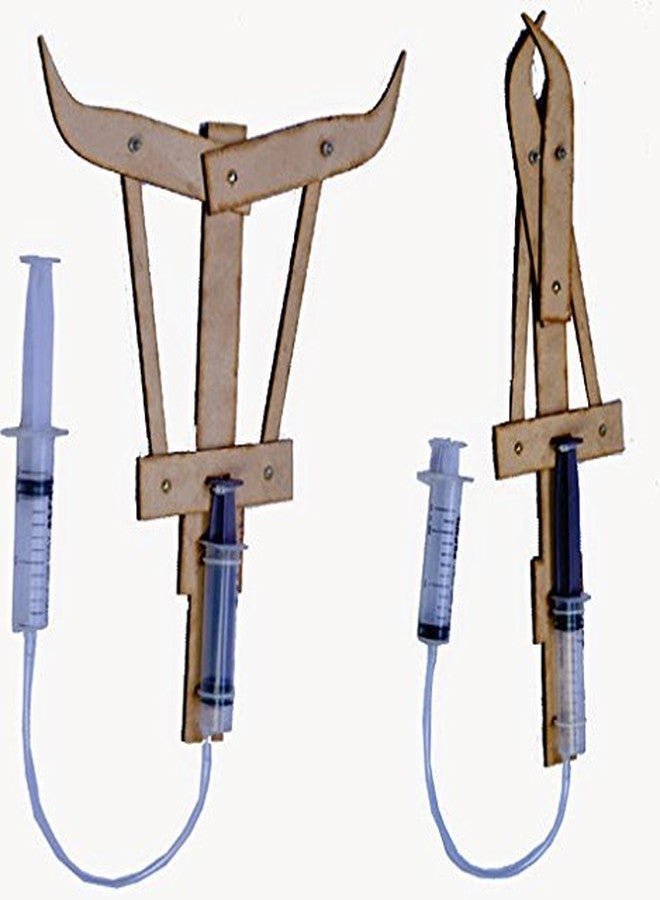 THE CURIOUS BRAIN ROBOTIC ARM (DO IT YOURSELF SCIENCE ACTIVITY KIT) - hydraulic and pneumatic Project - Image 1