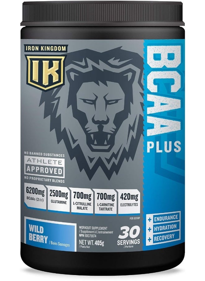 IRON BCAA Plus - Iron Kingdom (Wild Berry) 10.1g Amino Acids, Electrolytes, Glutamine, Endurance, Recovery, Hydration  - Image 1