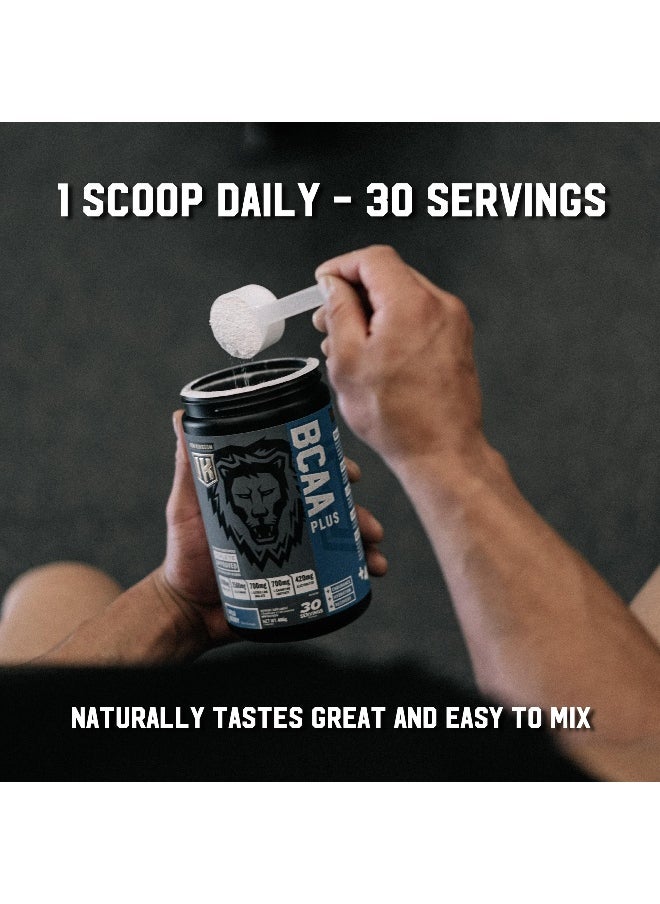 IRON BCAA Plus - Iron Kingdom (Wild Berry) 10.1g Amino Acids, Electrolytes, Glutamine, Endurance, Recovery, Hydration  - Image 4
