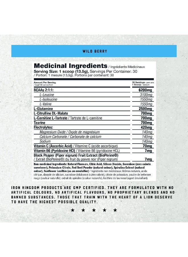 IRON BCAA Plus - Iron Kingdom (Wild Berry) 10.1g Amino Acids, Electrolytes, Glutamine, Endurance, Recovery, Hydration  - Image 5