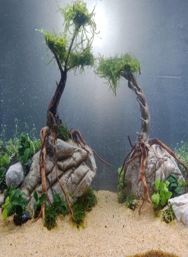 RUKDA Natural Elephant Skin Stone for Aquarium & Aquascaping - Textured Elephant Rock Hardscape for Betta, Shrimp & Planted Tanks (0.9, Kilograms) - Image 2