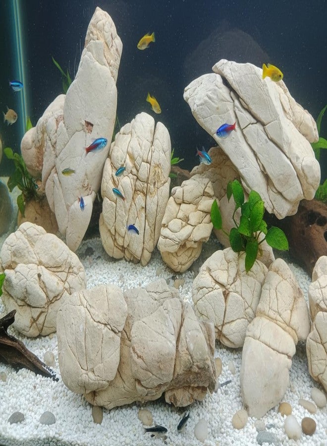 RUKDA Natural Elephant Skin Stone for Aquarium & Aquascaping - Textured Elephant Rock Hardscape for Betta, Shrimp & Planted Tanks (0.9, Kilograms) - Image 3