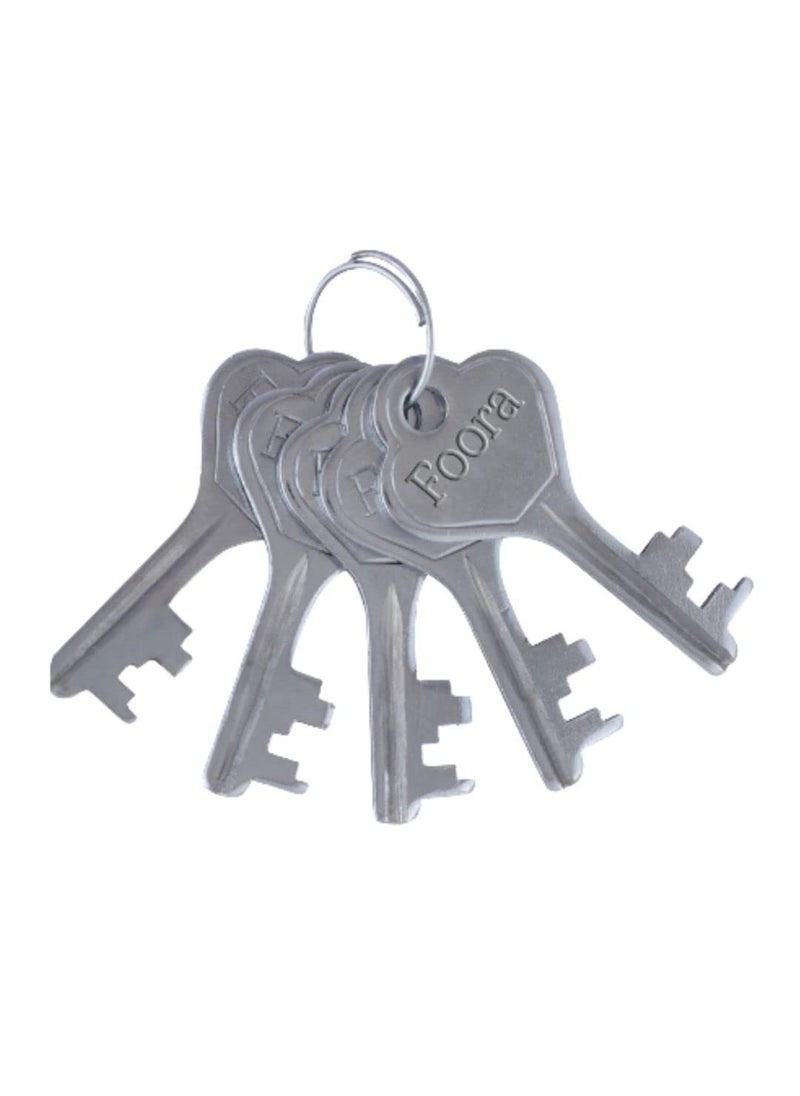 Foora Foora Same Key Lock Set 4 Padlocks with 5 Common Key Multiple Lock with Single Key for Home Security  - Image 3