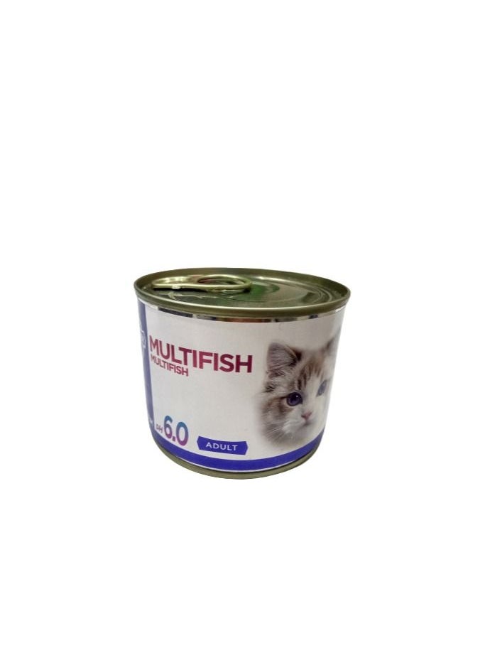 Multifish Cat Wet Food - 200g - pzsku/Z6BE11C46D5BD4FEEBE1AZ/45/_/1650471559/b3c5d76a-f6e4-42ff-8819-92442593eedd