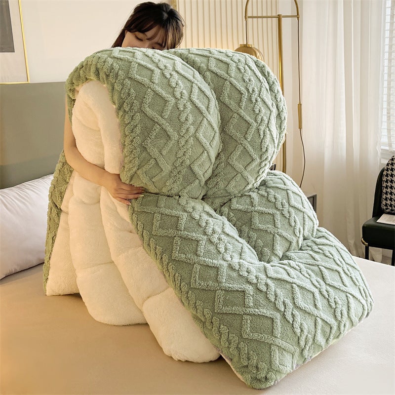 Winter Taffeta Quilt Core Milk Velvet Quilt Double-Sided Velvet Winter Quilt Warm Lamb Velvet Spring & Fall Quilt Cotton Bedding Antibacterial - Image 2