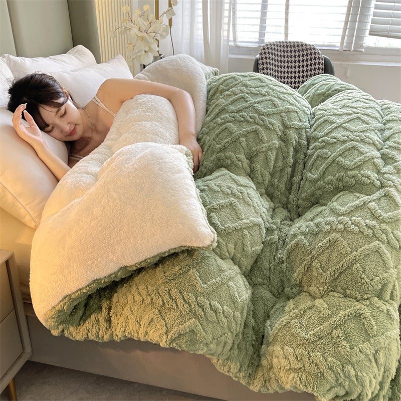 Winter Taffeta Quilt Core Milk Velvet Quilt Double-Sided Velvet Winter Quilt Warm Lamb Velvet Spring & Fall Quilt Cotton Bedding Antibacterial - Image 1