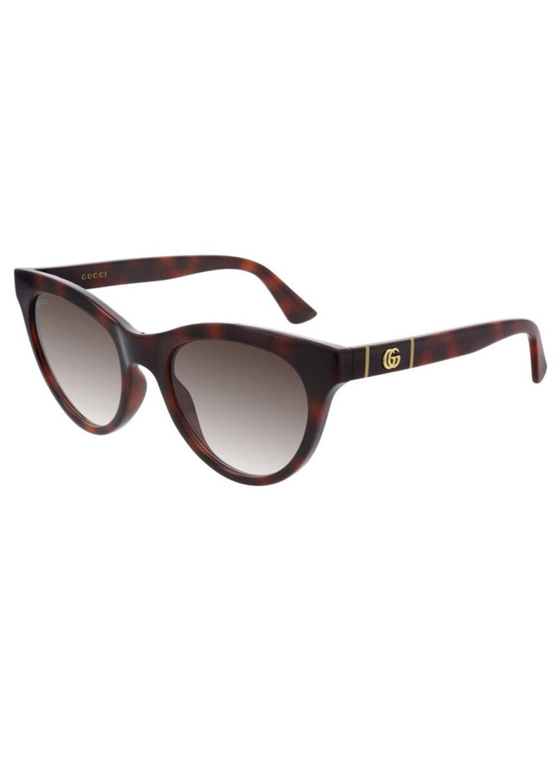 Gucci Women Havana Cat Eye Sunglasses with Brown lenses GG0763S-002 53mm