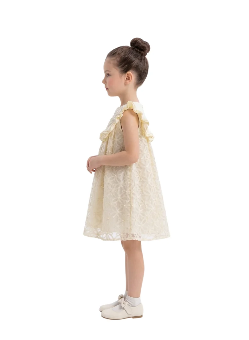 بيداني Vintage-Inspired Eyelet Lace Ruffle Dress