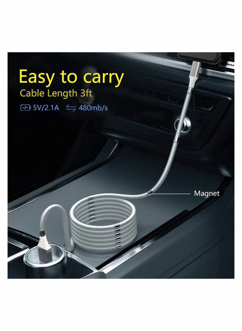 Generic - 3FT Magnetic Charging Cable Type-C Absorption Nano Data for Phone i 13/13Pro/Pro Max/12/12 Pro/Pro Max/11/XS/XS Max/XR/X/8/8 Plus/7 Plus/6s/6 Plus/SE/Pad/Pod ect - Image 1