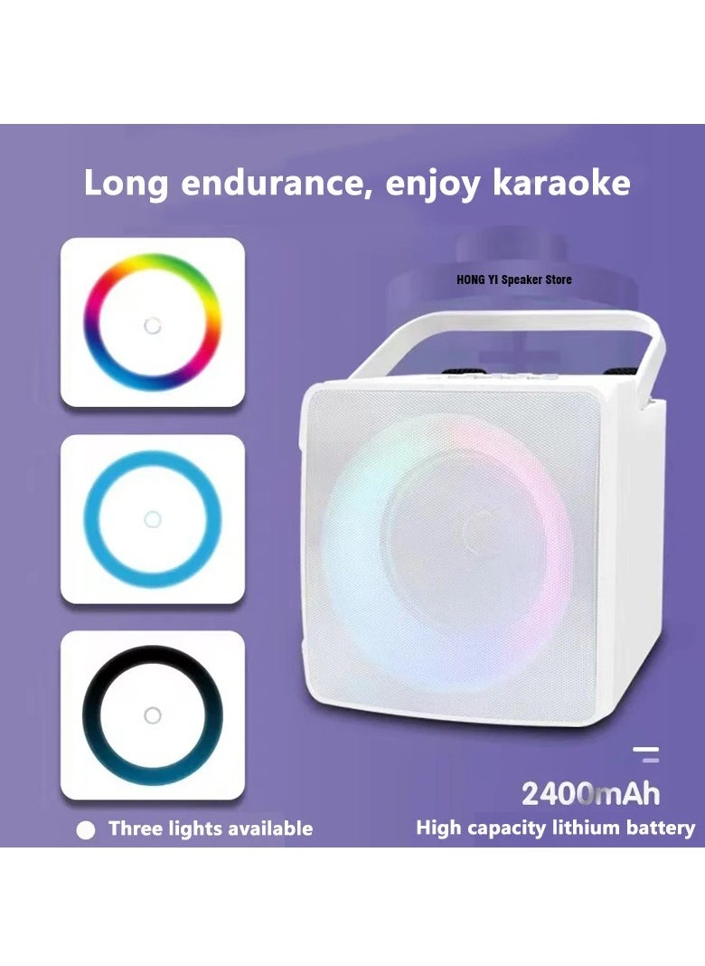 SDRD SD-508 New Mini Karaoke RGB Speaker with Dual Microphone  - Image 2