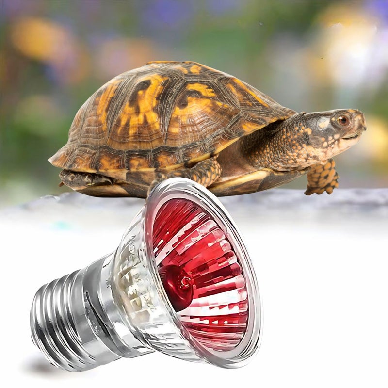 VAYINATO ® 50W Infrared UV Rays (Red) Reptile Turtle Heat Lamp Lights, Night Use UVA UVB Aquarium Bulbs by Petzlifeworld - Image 1