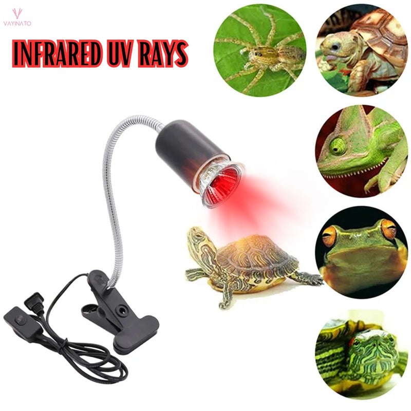 VAYINATO ® 50W Infrared UV Rays (Red) Reptile Turtle Heat Lamp Lights, Night Use UVA UVB Aquarium Bulbs by Petzlifeworld - Image 4