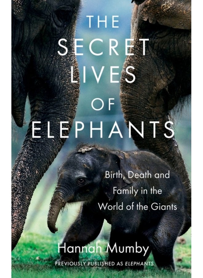 The Secret Lives of Elephants Birth Death and Family in the World of the Giants - Paperback