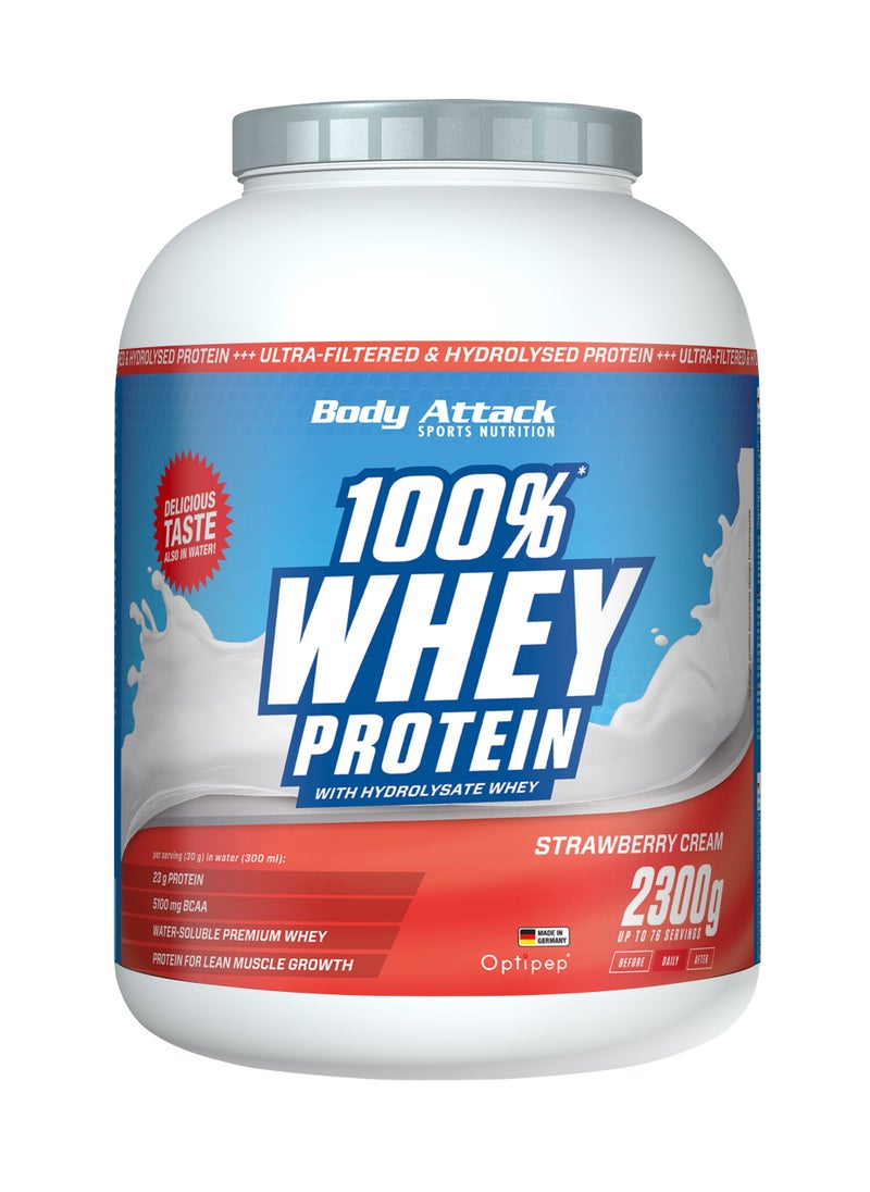 100% Whey Protein 2.3kg  Strawberry - pzsku/Z6BEAEE53ED39BD1193E8Z/45/_/1671714762/ca61e90c-b788-4273-bfdb-764491e92168