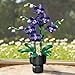 ILIEMOC Purple Orchid Flower Building Blocks Set 666 PCS DIY Artificial Flower Kit for Elegant Home Decor Table Display Compatible with Lego Flowers Artistic Gift for Ages 6 - Image 4