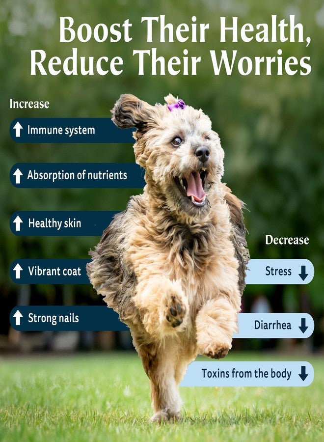 Zeotex Zeolite Powder 100% Natural Food Supplement for Immunity & Detox, Digestive Health, Joint Health Supplement Powder, Liver Detox, Enhance Pet Health w/Easy-to-Use Pet Supplements, 350g/12.35 oz - Image 3