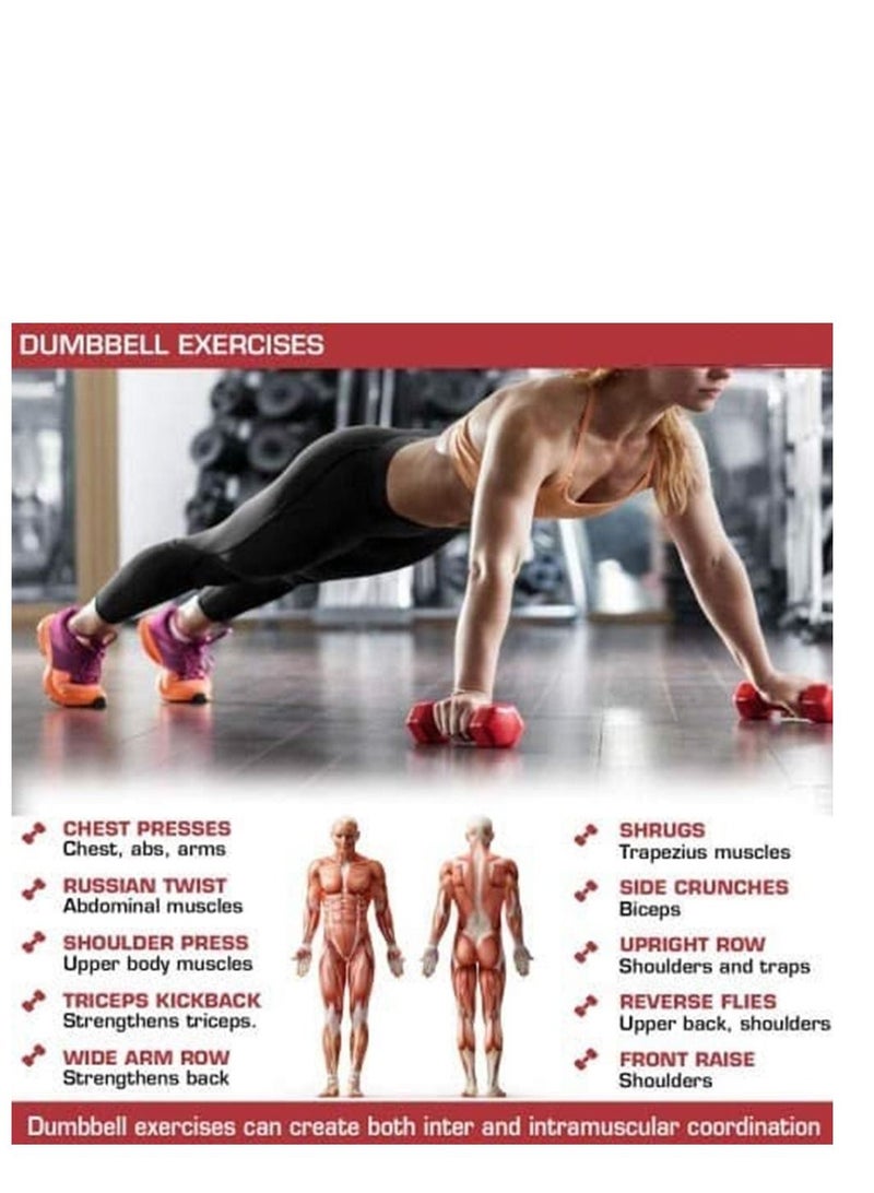 طقم دامبلز 6 قطع عالي الجودة 10كجم - Image 5