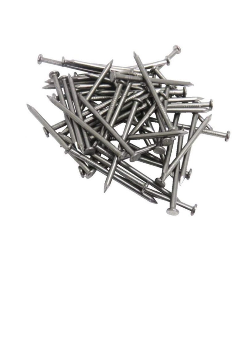 High Strength Round Head Nails For Carpentry Hardware Electrical Etc (75, 4 inch) - Image 1