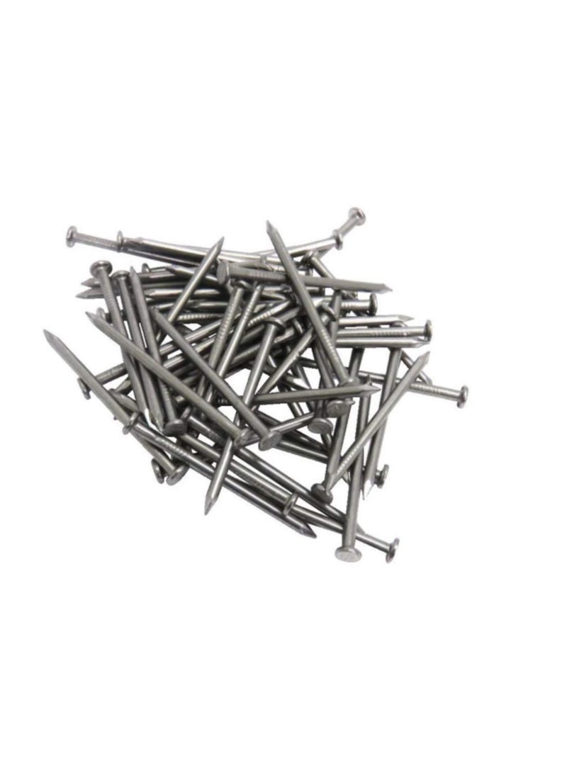 High Strength Round Head Nails For Carpentry Hardware Electrical Etc (75, 4 inch) - Image 2