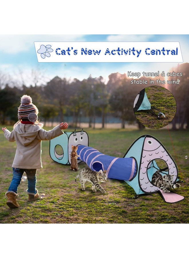 Rypet Cat Toy Tunnel and Cubes Bundle - Interactive Crinkle Collapsible Cat Tube and Foldable Cubes Playground for Kitty, Rabbit, Puppy, Ferret Hiding Hunting and Resting - Image 5