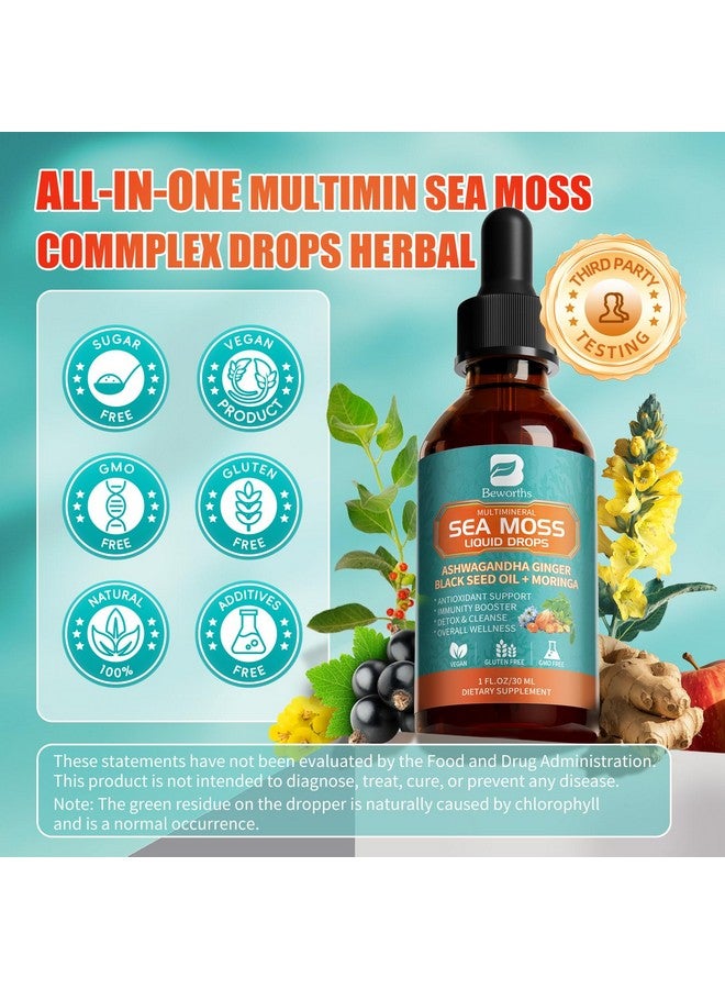 B BEWORTHS زجاجات 2PACK من طحالب البحر - سائل كلوروفيل طحالب البحر الأيرلندية مع زيت الحبة السوداء، أشواغاندا، مورينغا، كركم، توت البلسان، مولين، مكمل جل طحالب البحر لتنظيف الرئتين، إزالة السموم ودعم الجهاز الهضمي، دعم المناعة - Image 5