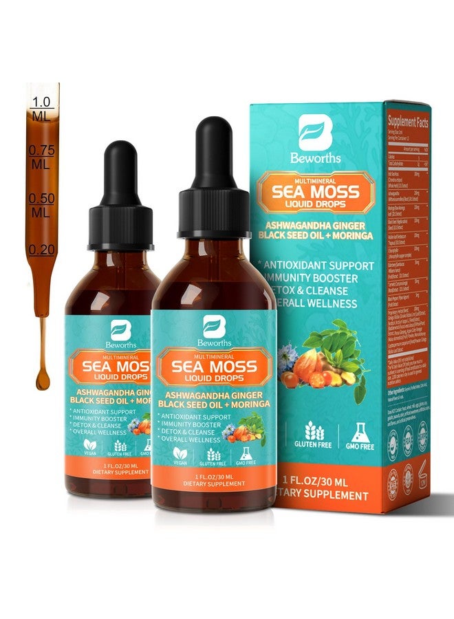 B BEWORTHS زجاجات 2PACK من طحالب البحر - سائل كلوروفيل طحالب البحر الأيرلندية مع زيت الحبة السوداء، أشواغاندا، مورينغا، كركم، توت البلسان، مولين، مكمل جل طحالب البحر لتنظيف الرئتين، إزالة السموم ودعم الجهاز الهضمي، دعم المناعة - Image 1