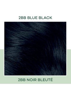 CLAIROL Natural Instincts Demipermanent Hair Dye 2Bb Blue Black Hair Color Pack Of 1  - Image 4