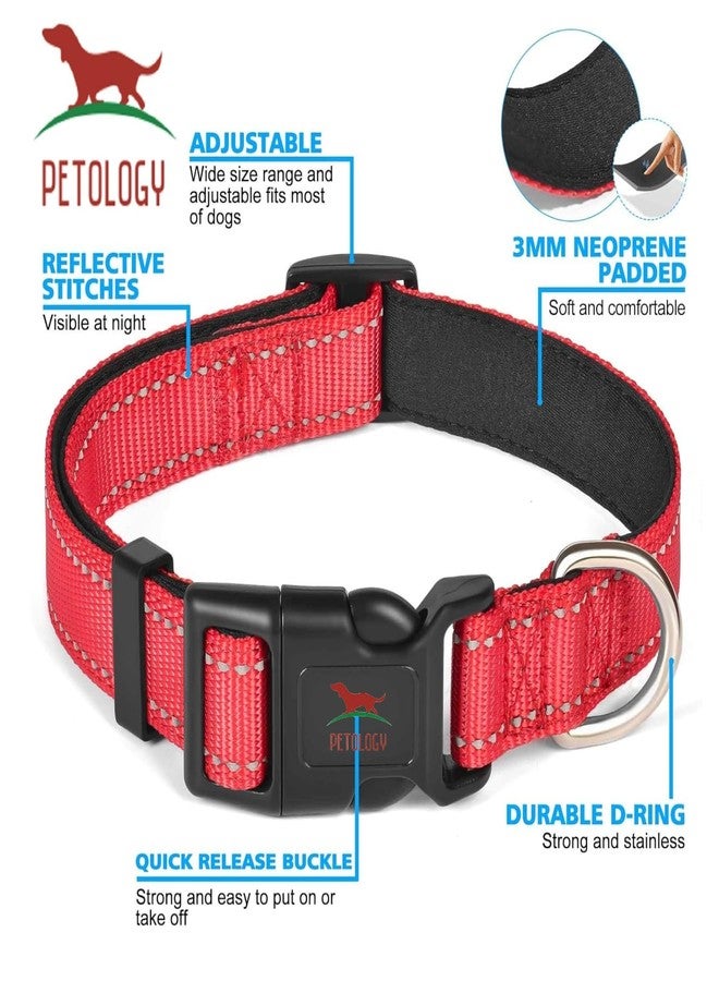 Petology طوق كلاب عاكس قابل للتعديل من بيتولوجي للكلاب متوسطة الحجم (30-40 سم) | طوق نايلون مبطن بالنيوبرين الناعم للحيوانات الأليفة مع مشبك آمن وسريع الفتح | مريح وخفيف الوزن ومتين - Image 2