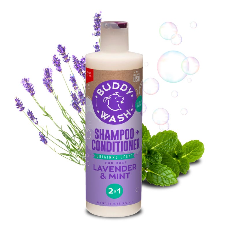 BUDDY BISCUITS Buddy Grooming Wash 2 in 1 Dog Shampoo Lavender Mint 16 oz Bottle