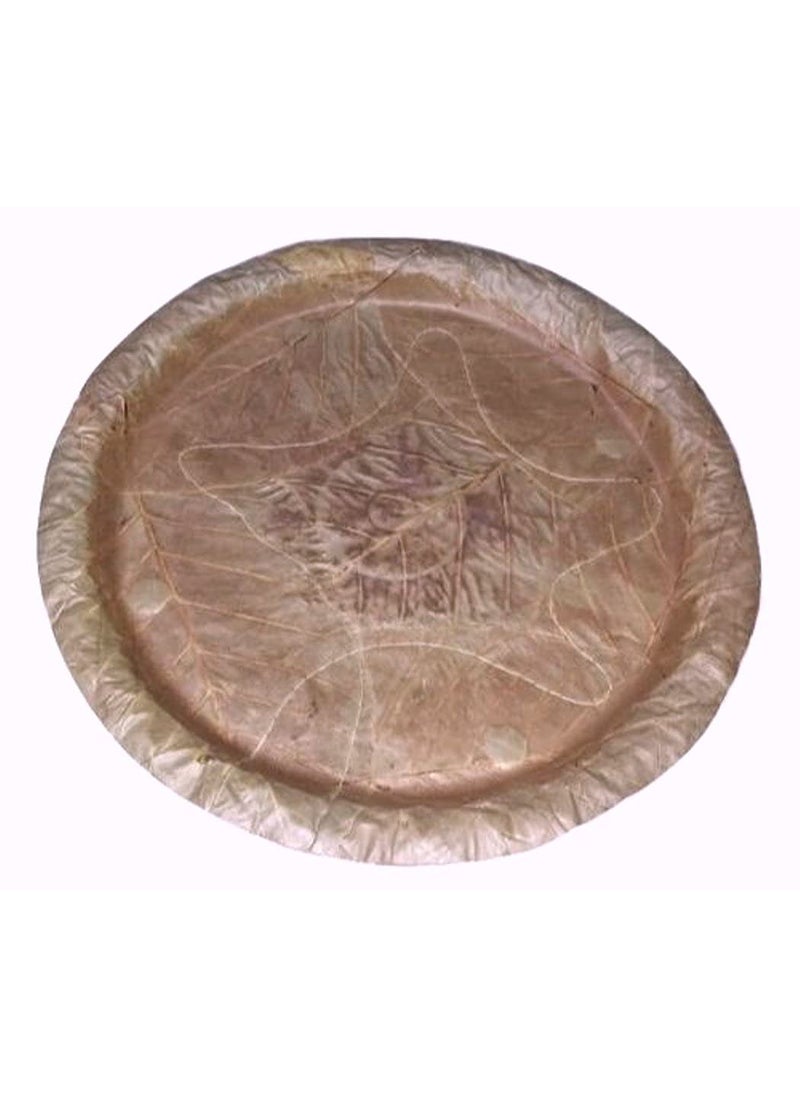 Plantzoin Plantzoin Patravali Khali patra Sala patra thali Sal leaf plate for Prasad Seban100 Piece  - Image 1