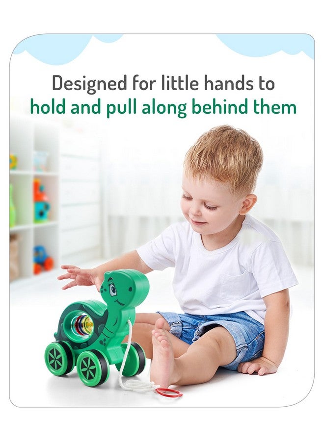 Storio Baby Products Pull Along Toddler Toy, Pull Along Toy with Attractive Design, Developmental Toy for 1 Year Old Girl Boy - Turtle - Image 3