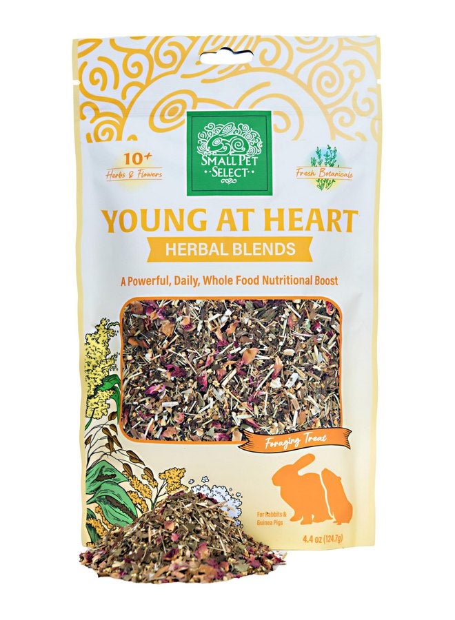 سمول بيت سليكت Small Pet Select - Young at Heart Herbal Blend، علاج عشبي طبيعي للأرانب وخنازير غينيا، 4.4 أونصة - Image 1