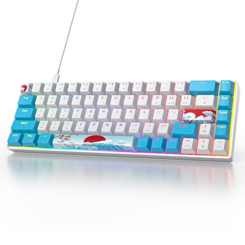 Owpkeenthy Portable 60% Mechanical Gaming Keyboard, Ultra Compact RGB Wired 65 Percent Mini Office Keyboard Backlit with Red Switch for PC/PS5/XBOX(Blue/ 68 Red Switch) - Image 1